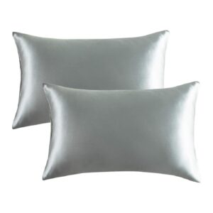 Bedsure Satin Pillowcase for Hair and Skin Queen -Graany Grey Pillowcase 2 Pack 20x30 inches