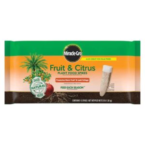 Miracle-Gro Fruit & Citrus Plant Food Spikes 12 per Pack